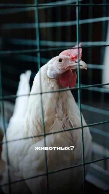 Что я не стал бы делать, даже если в этом есть выгода?