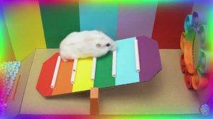 Большое приключение маленького хомячка прохождение лабиринта веселья! серия 4