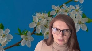 24 апреля 2026