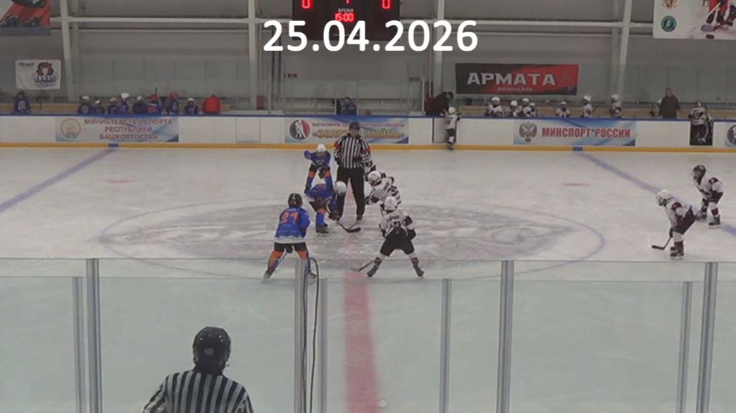 Золотая шайба Львы - Армата 25.04.26