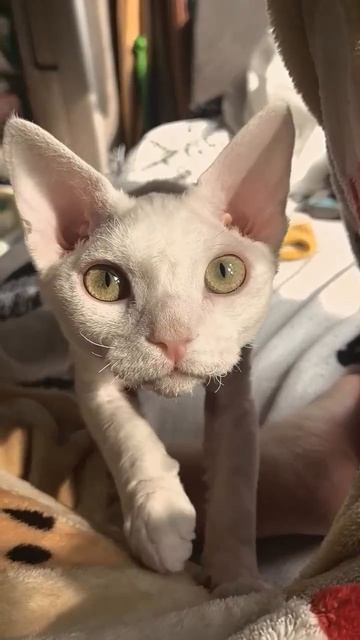 video_2026-03-06_10-47-12