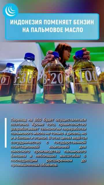 БИОТОПЛИВО В ИНДОНЕЗИИ #мирадио