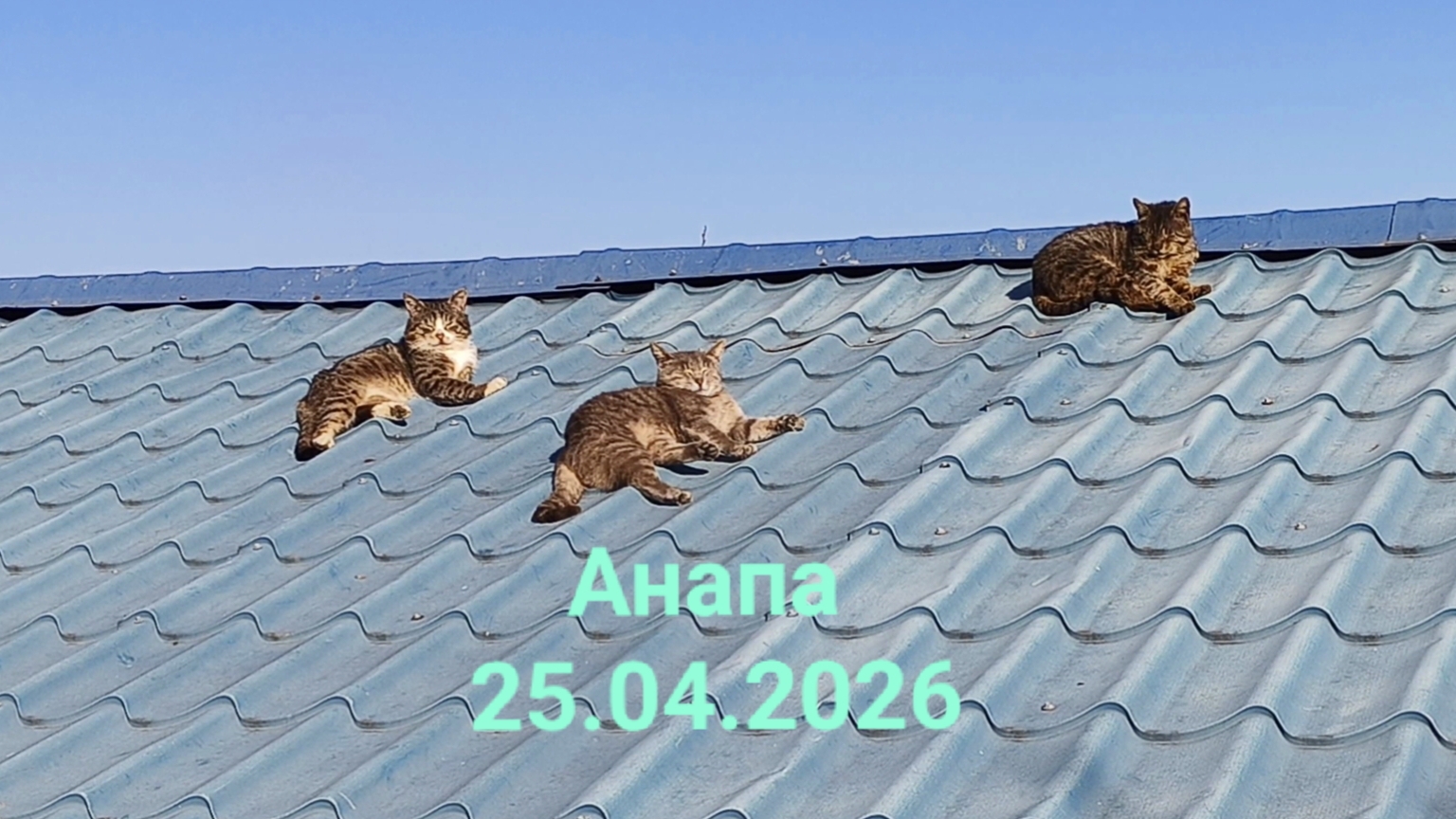 Анапа 25.04.2026