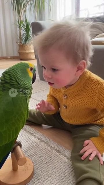 Попугай и ребенок #sora #ии #попугай #funny #урок #юмор #смех #угар #birds #kids #ребенок