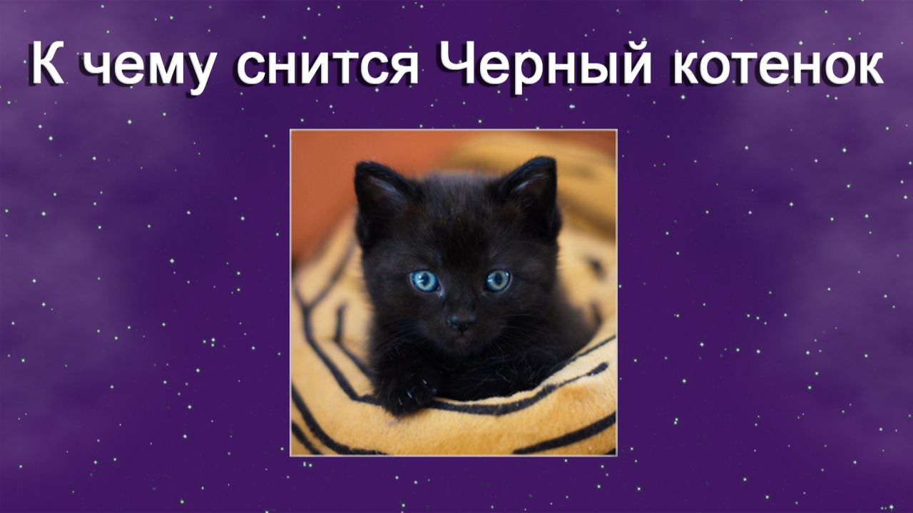 К чему снится Черный котенок - толкование сна