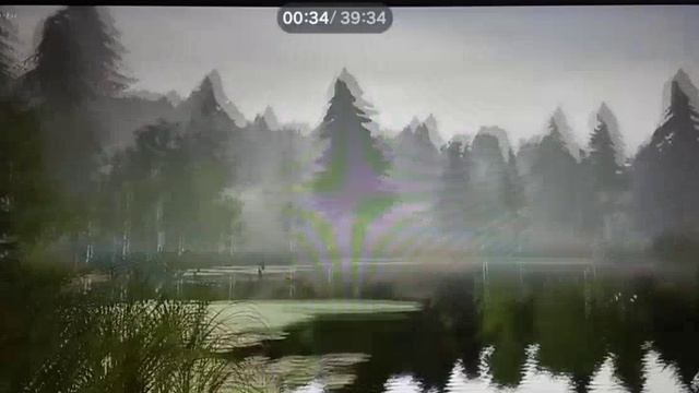 Ловлю рыбу в игре Русская рыбалка 4 ! (поймал карпа)