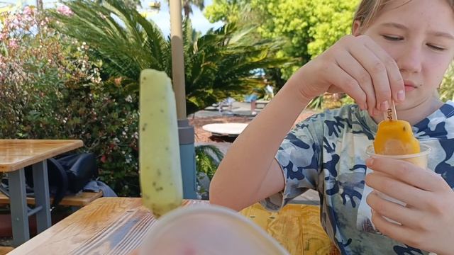 #Сочи парк Аттракционов. Мороженое на территории парка . Очень вкусное 👍