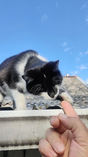 Шурик шустрый пацан.