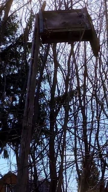 и так сойдёт🤣🤣🤣