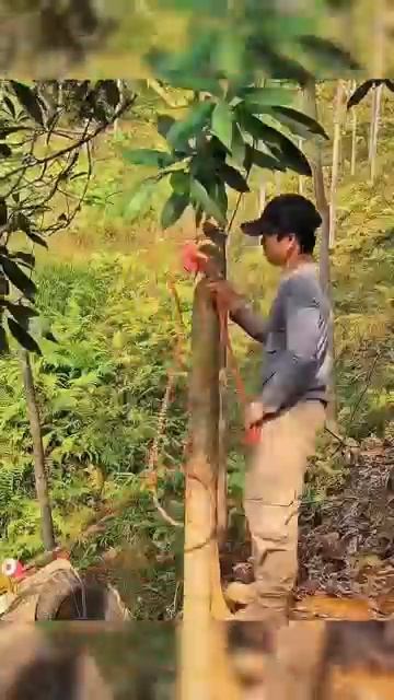 With the best skills The man built a hanging house high up to avoid wild animals build survival [get