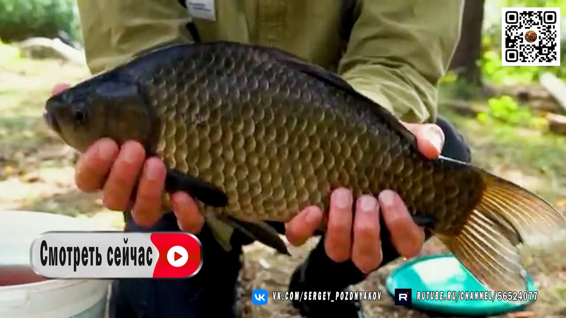 Рыбачу в старом камыше, тут клюют неподъёмные Караси