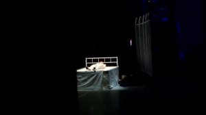 Китайский "балет" в Большом. Гуанчжоуская акробатическая труппа. "ЛЕБЕДЬ" (6)