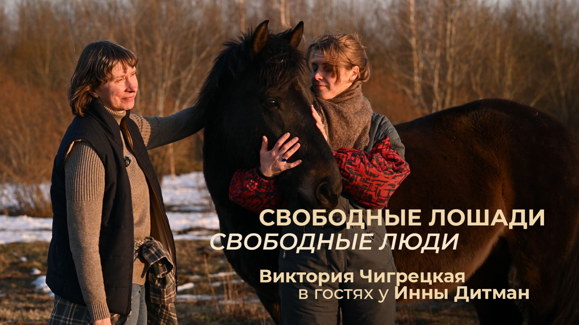 Свободные лошади — свободные люди: Виктория Чигрецкая в гостях у Инны Дитман