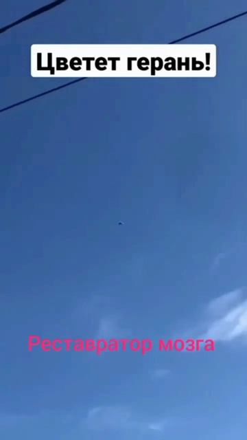 Последствия для украины...