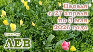 ЛЕВ | ТАРО прогноз на неделю с 27 апреля по 3 мая 2026 года