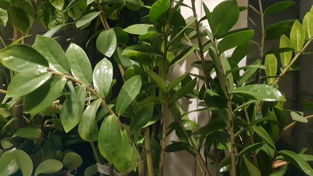 Ушли в песок года...