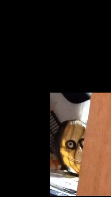 lv_0_20260425165156.mp4