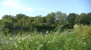 vatravel.ru На Псковском озере у д.Жидилов Бор (Псковская обл)