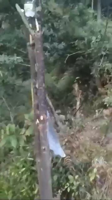 Дачная версия, как добиться успеха в соседских отношениях.