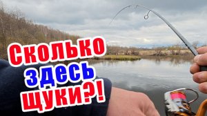 ВОТ ЭТО РЫБАЛКА!!! ЛУЧШАЯ ПРОВОДКА НА ЩУКУ!!!