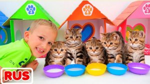 Влад и Никита играют с котятами