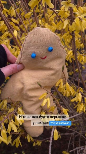 Цветы похожи на цыплёночка