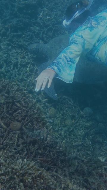 Нас спрашивают, зачем это Ваши путешествия? Лучше бы машину нормальную купили, ремонт дома А ты как?