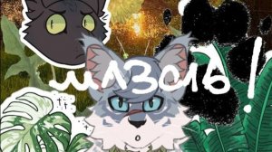 О мазоли! //целительство//коты воители //коты водители //Эхо //wcue