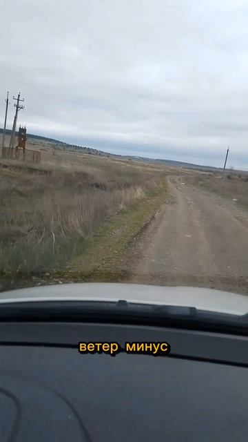 План: открыть грибной сезон! Итог-снег пошел в апреле! Синеножки, ау!