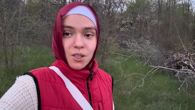 Ты, лес и Бог. Душевный разговор.