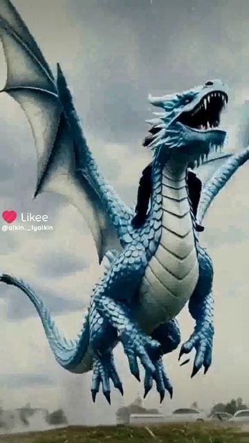 #алькинлялькин #алькин__лялькин #alkin_lyalkin #alkinlyalkin