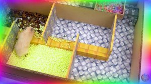 Большое приключение маленького хомячка прохождение лабиринта веселья! серия 5