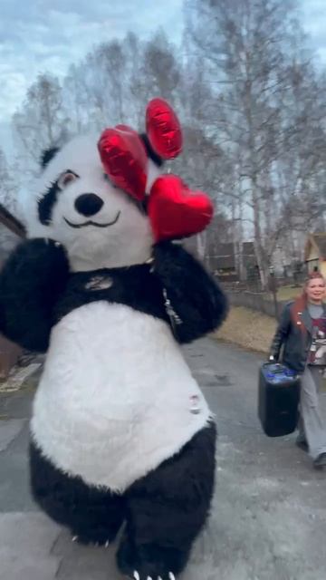 Пандочка спешит поздравить с венчанием жениха и невесту❤