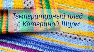 Температурный плед с Катериной Шурм.Участник №24
