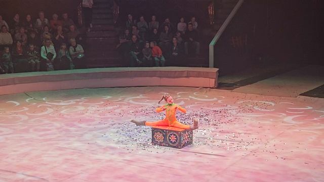 это цирк я была в цирке