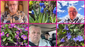 25.04.26 ✨ОГОРОДНЫЕ ДЕЛА ✨ ОПЯТЬ ЧП ✨