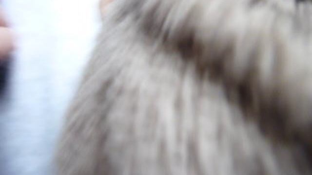 проверка звука на телефоне