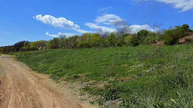 Жизнь в Болгарии. Чего никто не ожидал, только надеялись...