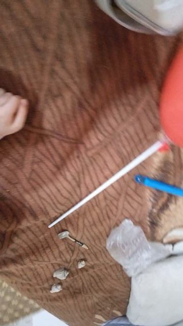 спасибо большое Вадиму потому что подарил мне ракушки и ложку с моим именем 😭