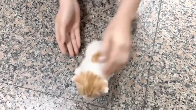 ПОВ:ЧТО С ТОБОЙ ХОТЯТ СДЕЛАТЬ РАНДОМЫ КОГДА ОНИ СДЕЛАЛИ 0 КИЛОВ