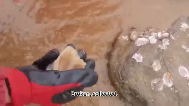 Небольшая глава 