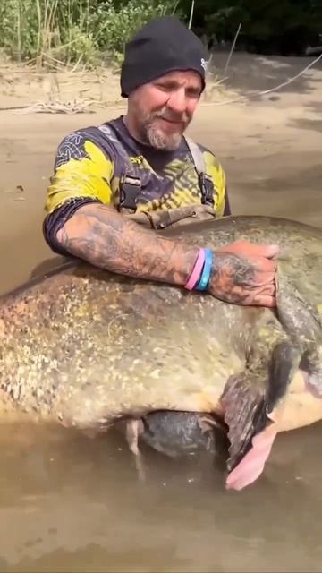 Клип @zatropheem