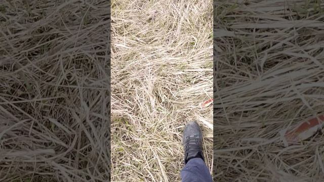 рыбачим с папой