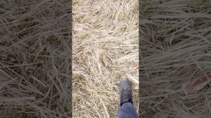 рыбачим с папой