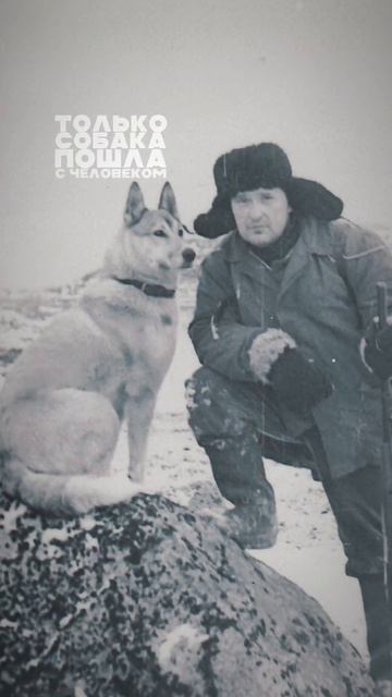 Единственный верный друг...