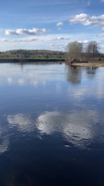 Река почти вернулась в берега. Природа. Под мостом. Весна. #life #природа #nature #нареке
