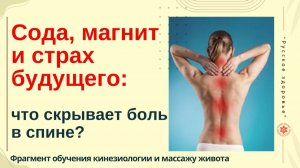Сода, магнит и страх будущего: что скрывает боль в спине? Фрагмент обучения