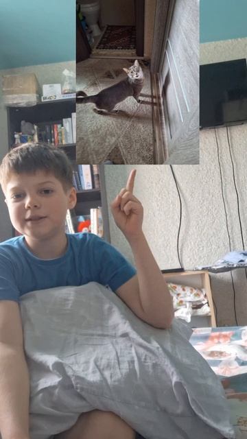 Фотографиии