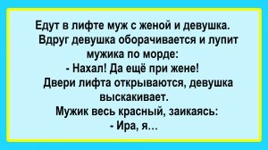 В лифте муж жена и девушка! Подборка Пикантных, Остреньких, Жизненных Анекдотов! Юмор! Смех! Позитив