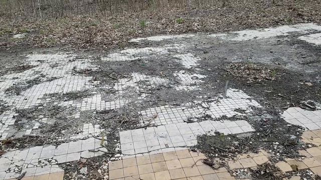 20260425 Сх выставка Ресторан Цон Богатырская застав Поклонный крест Знаменский лесопарк г Орёл знак